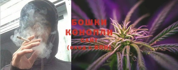 прущие крисы Новодвинск
