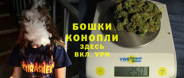 прущие крисы Новодвинск