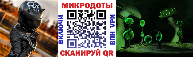 Галлюциногенные грибы Psilocybe  купить наркоту  Сызрань 